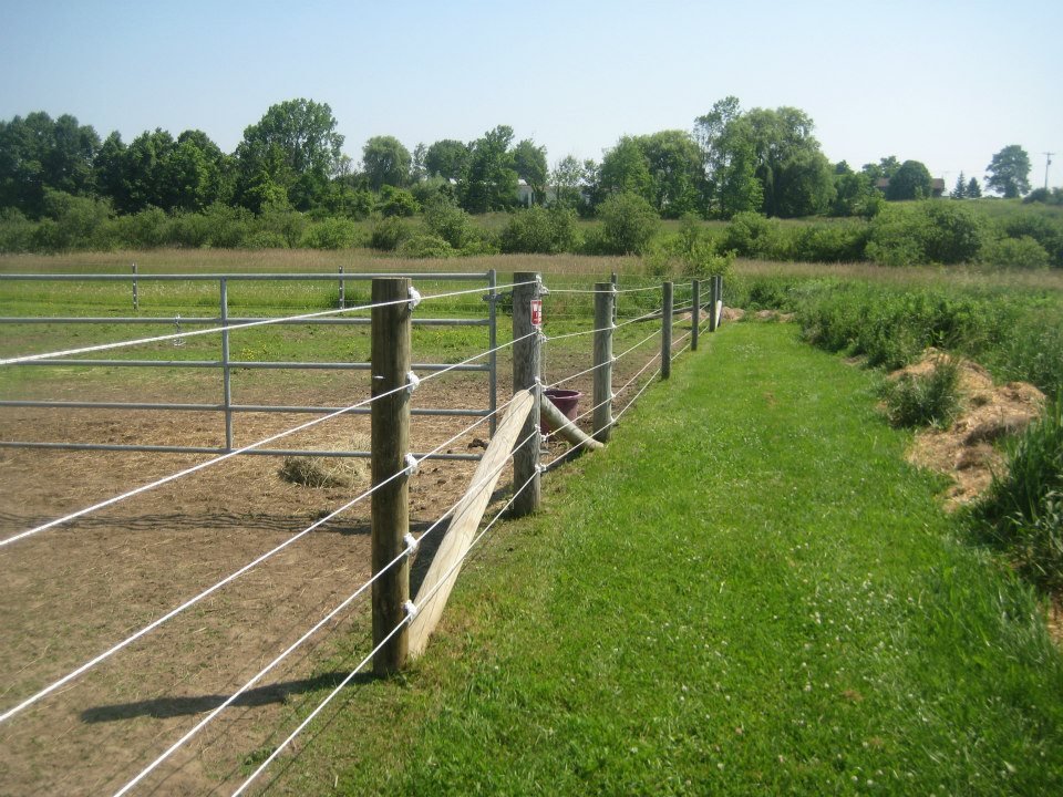 Augusta New York Fence Project Photo