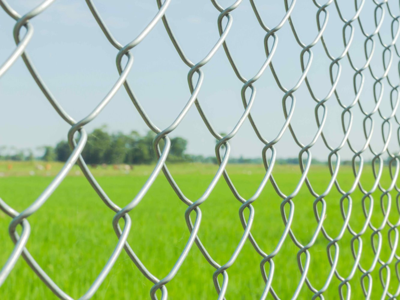 chain link fence Sangerfield New York