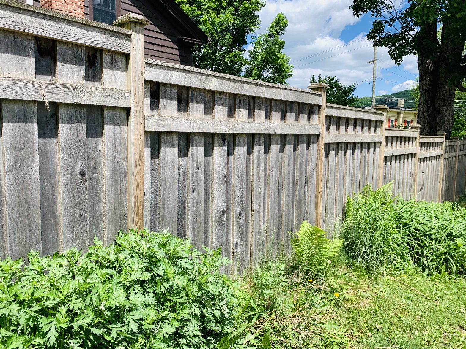 Photo of residential wood fence in Central NY