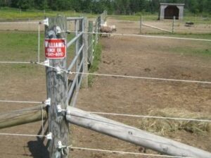 Photo of electrobraid farm fence in Central NY
