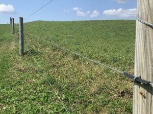 Photo of high tensile farm fence in Central NY