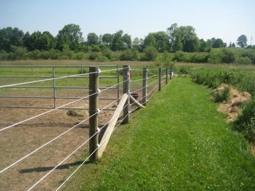 An example of Electro Braid Fence we installed in NY